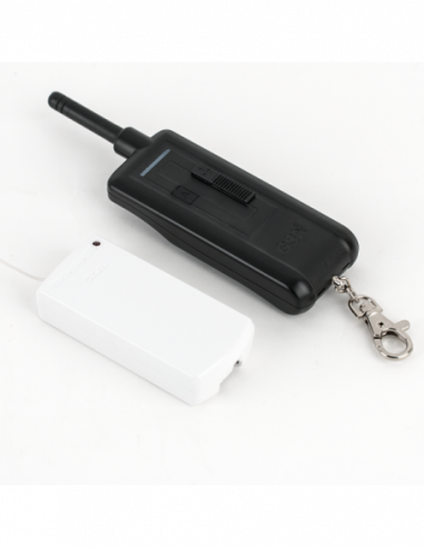 Set radiocomanda cu unitate receptoare,
doua canale si telecomanda cu doua butoane, cu cod saritor. Comanda online pe RFPro.ro.