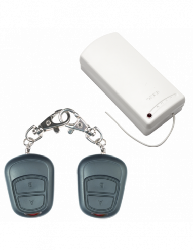 Set de radio comanda la 500m cu doua canale (cod saritor). Comanda online pe RFPro.ro.