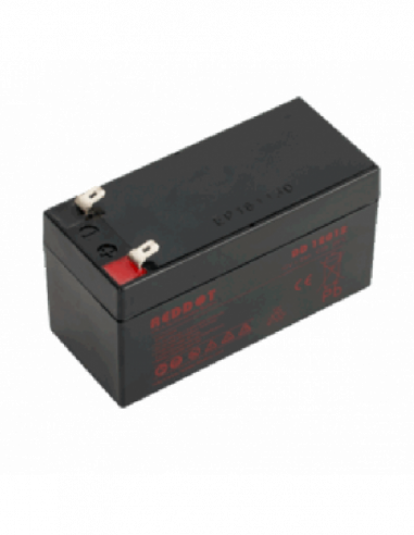 Acumulator stationar 12V 1.2Ah. Comanda online pe RFPro.ro.