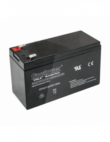 Acumulator Pb-Acid, fara intretinere.. Comanda online pe RFPro.ro.