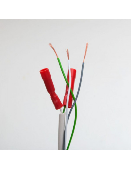 Yala electromagnetica incastrabila DORCAS-50N305-424. Comanda online pe RFPro.ro.