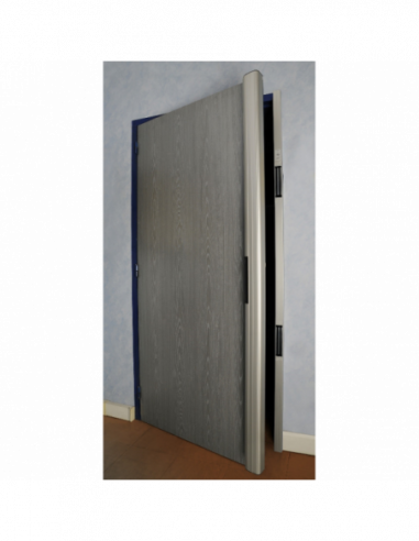 Kit de securizare usi cu doi electromagneti de 300kgf, pentru usi cu deschidere la interior. Comanda online pe RFPro.ro.