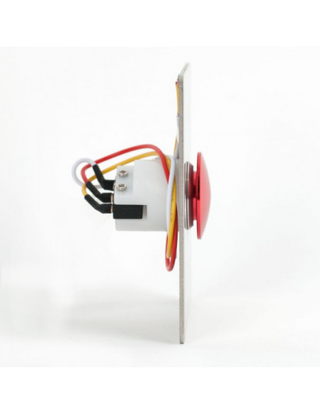 Buton incastrabil/aplicabil cu carcasa, NO/NC Aluminiu. Comanda online pe RFPro.ro.