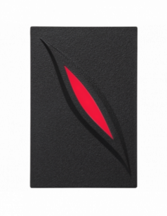 Cititor de proximitate RFID (EM 125KHz) pentru centrale de control acces. Comanda online pe RFPro.ro.