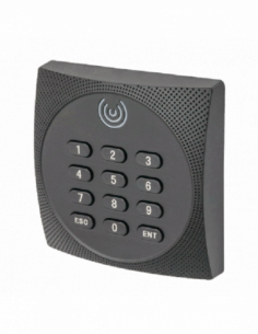 Cititor de proximitate Wiegand, DESFIRE 13.56 MHz cu tastatura. Comanda online pe RFPro.ro.