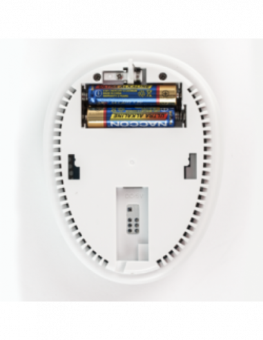 Detector de monoxid de carbon wireless . Comanda online pe RFPro.ro.