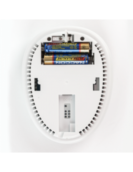 Detector de monoxid de carbon wireless . Comanda online pe RFPro.ro.