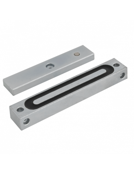 Electromagnet de forta, 110kgf, waterproof. Comanda online pe RFPro.ro.