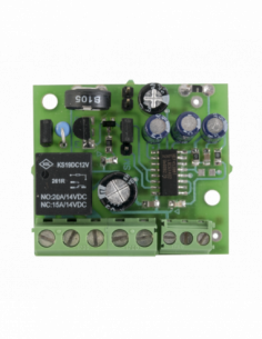 Modul de temporizare comanda T-100R-1. Comanda online pe RFPro.ro.