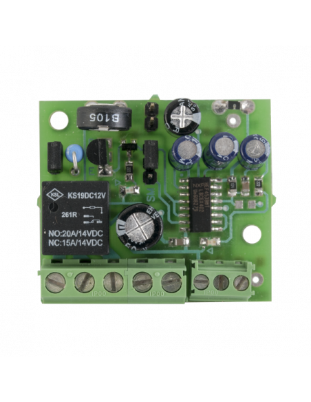 Modul de temporizare comanda T-100R-1. Comanda online pe RFPro.ro.