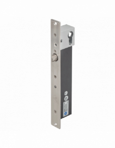 Bolt electric (fail-secure) cu actiune magnetica, monitorizare, temporizare si senzor. Comanda online pe RFPro.ro.