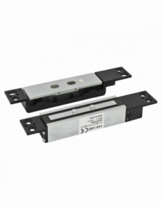 Electromagnet incastrabil tip shear lock. Comanda online pe RFPro.ro.