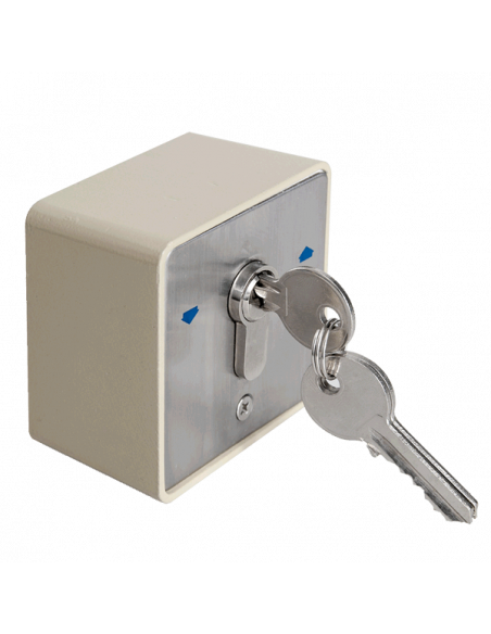 Buton aplicabil cu cheie. Comanda online pe RFPro.ro.
