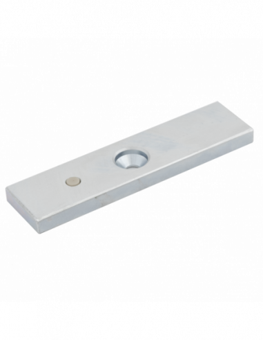 Electromagnet incastrabil . Comanda online pe RFPro.ro.