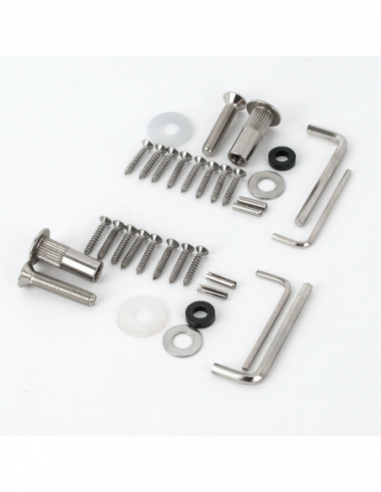 Electromagnet aplicabil pentru usa dubla. Comanda online pe RFPro.ro.