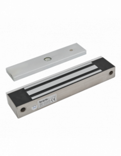 Electromagnet aplicabil pentru exterior, waterproof. Comanda online pe RFPro.ro. 2