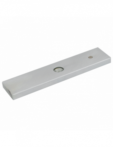 Electromagnet aplicabil pentru exterior, waterproof. Comanda online pe RFPro.ro.