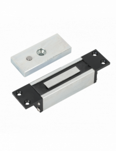Minielectromagnet incastrabil. Comanda online pe RFPro.ro.