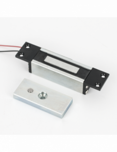 Minielectromagnet incastrabil. Comanda online pe RFPro.ro. 2