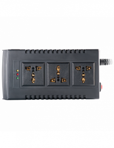 AVR Paladin 1000