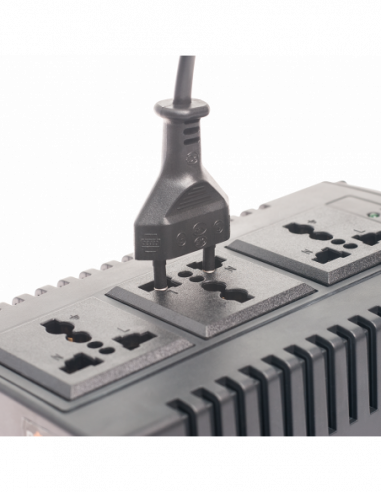AVR Paladin 1000