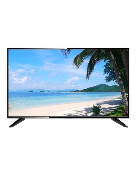 Monitor - DHL43-F600