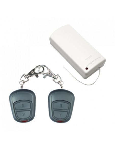 Set radio comanda 2 relee (max. 500 m) 24Vcc ACS-126R. Comanda online pe RFPro.ro.