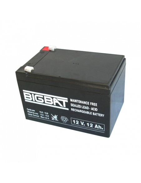 Acumulator BIG BAT 12V, 12Ah BB12V12. Comanda online pe RFPro.ro.