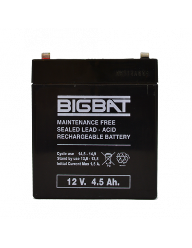 Acumulator BIG BAT 12V, 4.5 AH BB12V4.5. Comanda online pe RFPro.ro.