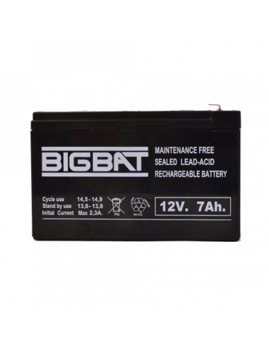 Acumulator BIG BAT 12V, 7 AH BB12V7. Comanda online pe RFPro.ro.