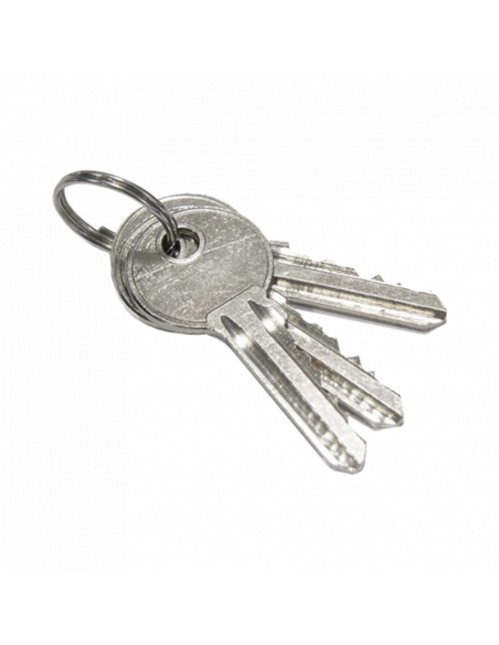 Cutie securizata pentru comanda deschidere/inchidere CSV100. Comanda online pe RFPro.ro.