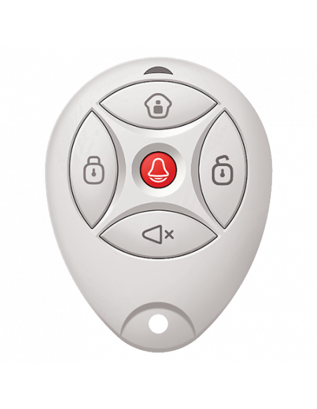 Telecomanda 5 butoane, 433Mhz - HIKVISION DS-19K00-Y. Comanda online pe RFPro.ro.