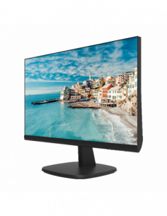 Monitor LED FullHD 24inch, HDMI, VGA - HIKVISION DS-D5024FN. Comanda online pe RFPro.ro.
