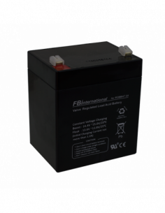 Acumulator 12V, 5Ah -FBi HGL12-5. Comanda online pe RFPro.ro.