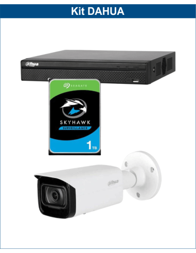 KIT DAHUA, DAH-IPP1IEXT2B40P, NVR + HDD + 1xCAMERA, 2MP, IR 40m