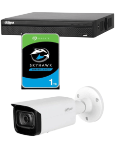 KIT DAHUA, DAH-IPP1IEXT2B40P, NVR + HDD + 1xCAMERA, 2MP, IR 40m 2
