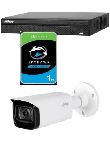KIT DAHUA, DAH-IPP1IEXT2B40P, NVR + HDD + 1xCAMERA, 2MP, IR 40m