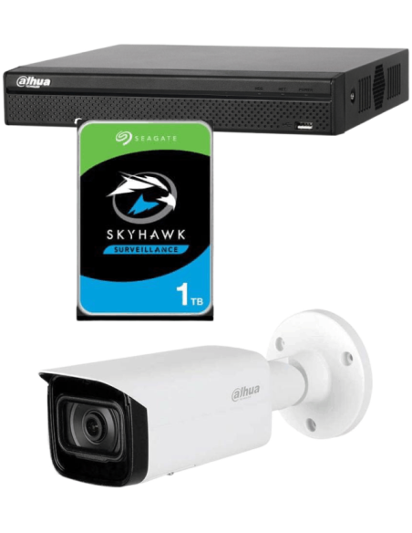 KIT DAHUA, DAH-IPP1IEXT2B40P, NVR + HDD + 1xCAMERA, 2MP, IR 40m