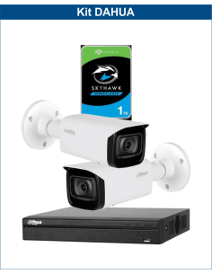 KIT DAHUA, DAH-IPP2IEXT2B40P, NVR + HDD + 2xCAMERA, 2MP, IR 40m