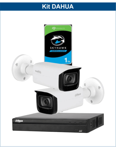 KIT DAHUA, DAH-IPP2IEXT2B40P, NVR + HDD + 2xCAMERA, 2MP, IR 40m