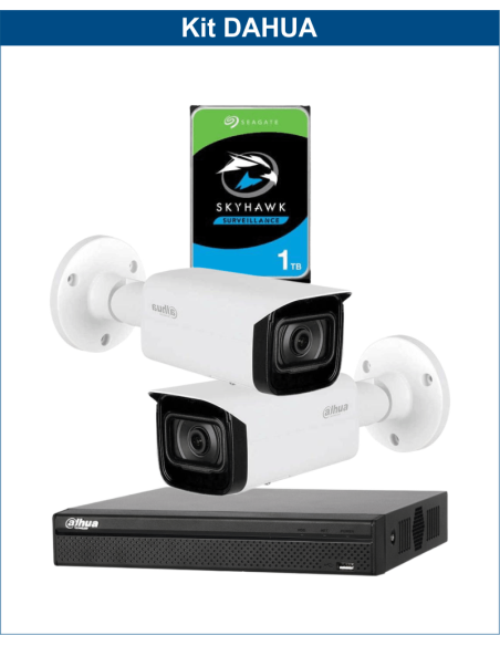 KIT DAHUA, DAH-IPP2IEXT2B40P, NVR + HDD + 2xCAMERA, 2MP, IR 40m