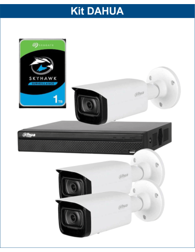 KIT DAHUA, DAH-IPP3IEXT2B40P, NVR + HDD + 3xCAMERA, 2MP, IR 40m