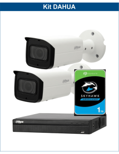 KIT DAHUA, DAH-IPP2IEXT2B60P, NVR + HDD + 2xCAMERA, 2MP, IR 60m