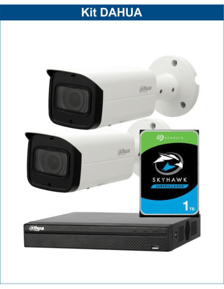 KIT DAHUA, DAH-IPP2IEXT2B60P, NVR + HDD + 2xCAMERA, 2MP, IR 60m
