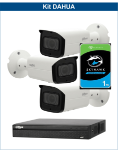 KIT DAHUA, DAH-IPP3IEXT2B60P, NVR + HDD + 3xCAMERA, 2MP, IR 60m