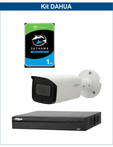 KIT DAHUA, DAH-IPP1IEXT2B50P, NVR + HDD + 1xCAMERA, 2MP, IR 50m