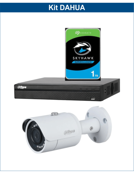 KIT DAHUA, DAH-IPP1IEXT2B30P, NVR + HDD + 1xCAMERA, 2MP, IR 30m