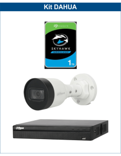 KIT DAHUA, DAH-IPP1IEXT2B30P, NVR + HDD + 1xCAMERA, 2MP, IR 30m