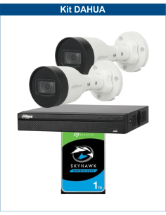 KIT DAHUA, DAH-IPP2IEXT2B30P, NVR + HDD + 2xCAMERA, 2MP, IR 30m