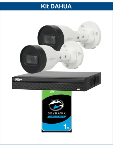 KIT DAHUA, DAH-IPP2IEXT2B30P, NVR + HDD + 2xCAMERA, 2MP, IR 30m